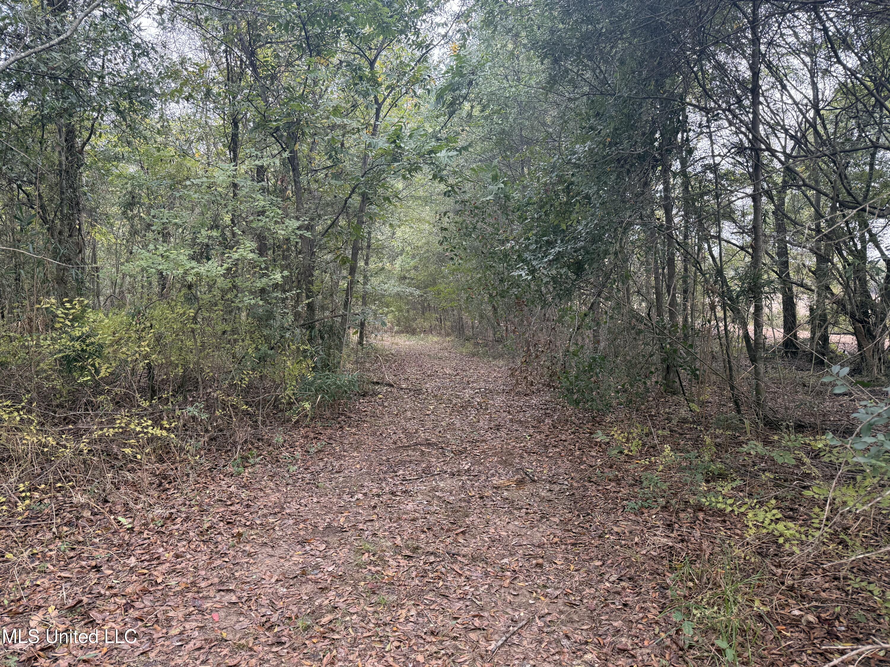 Mitchell Road Greenwood, MS 38930 - Photo 14 of 41 IMG_1091