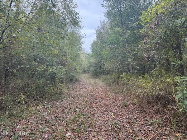 $90,000 | Mitchell Road, Greenwood, MS 38930