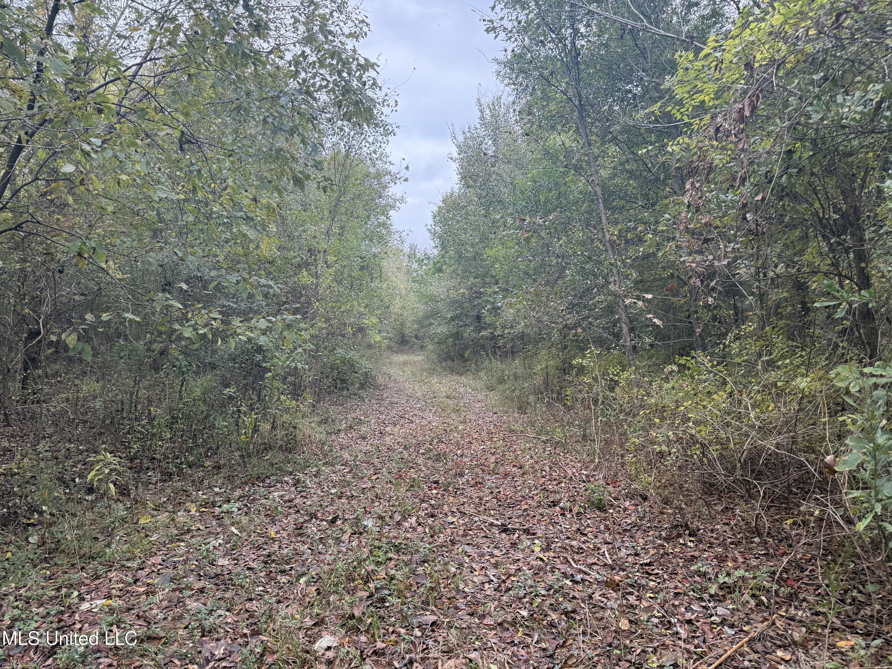 Mitchell Road Greenwood, MS 38930 - Photo 15 of 41 IMG_1092