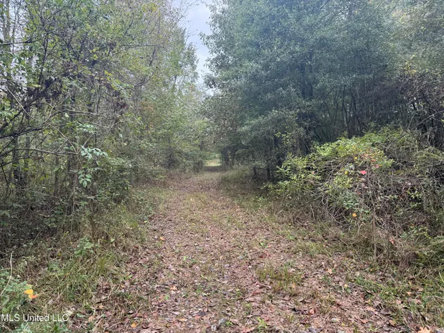 $105,000 | Mitchell Road, Greenwood, MS 38930