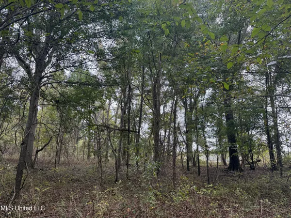 $90,000 | Mitchell Road, Greenwood, MS 38930
