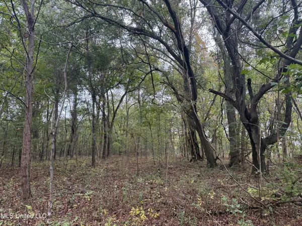 $90,000 | Mitchell Road, Greenwood, MS 38930