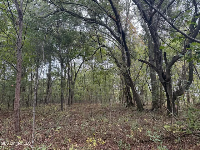$105,000 | Mitchell Road, Greenwood, MS 38930