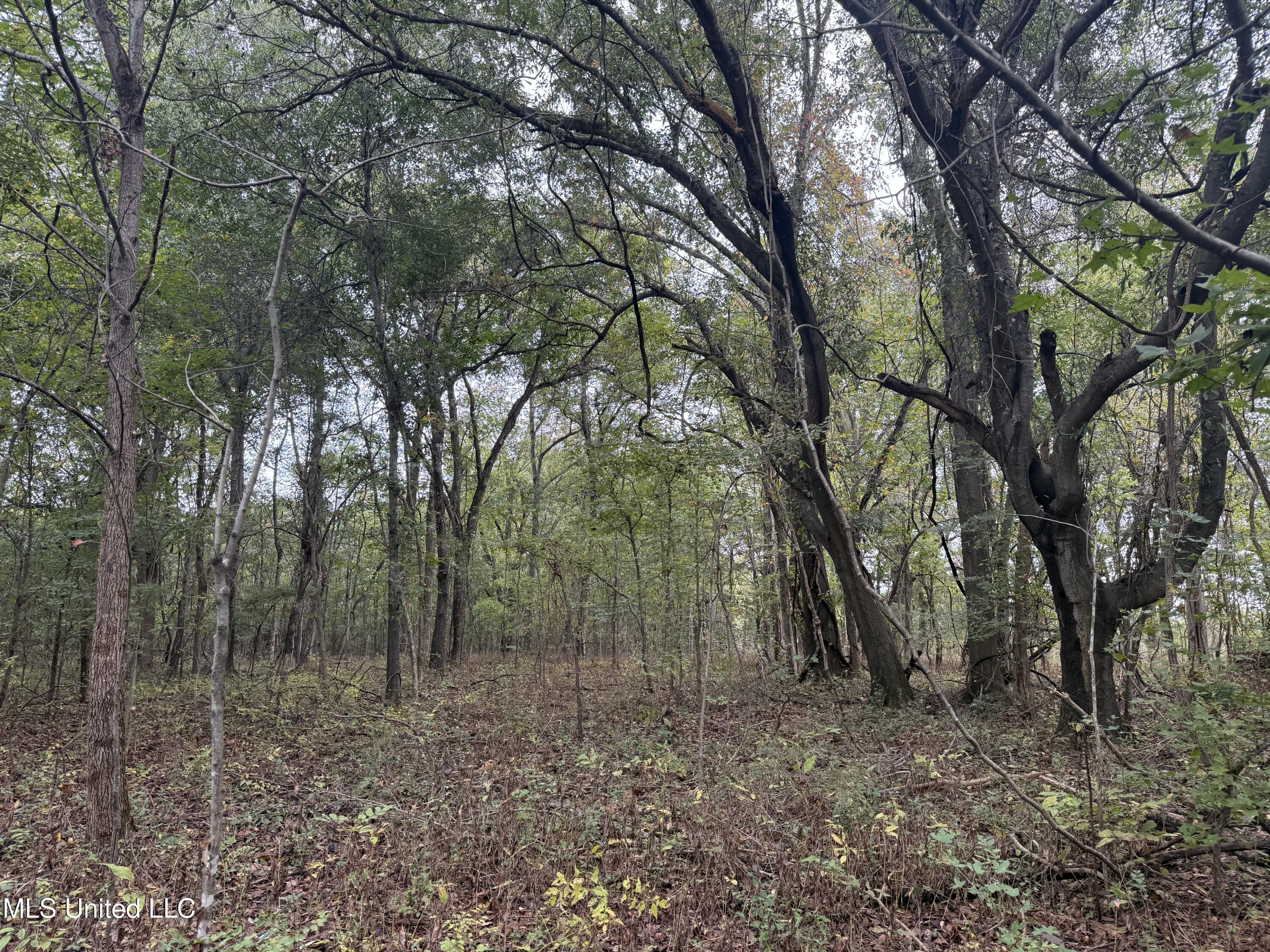 Mitchell Road Greenwood, MS 38930 - Photo 18 of 41 IMG_1095