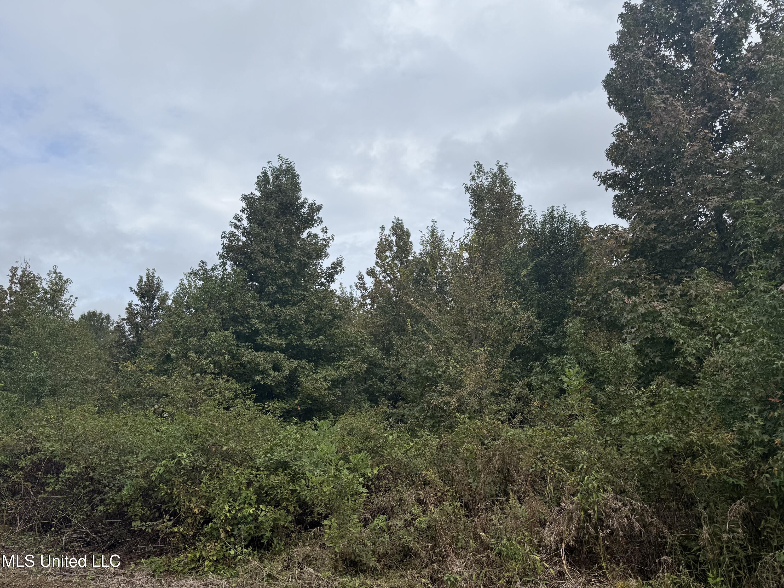 Mitchell Road Greenwood, MS 38930 - Photo 21 of 41 IMG_1099