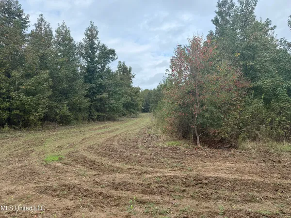 $90,000 | Mitchell Road, Greenwood, MS 38930