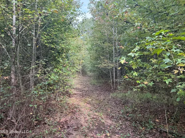 $105,000 | Mitchell Road, Greenwood, MS 38930