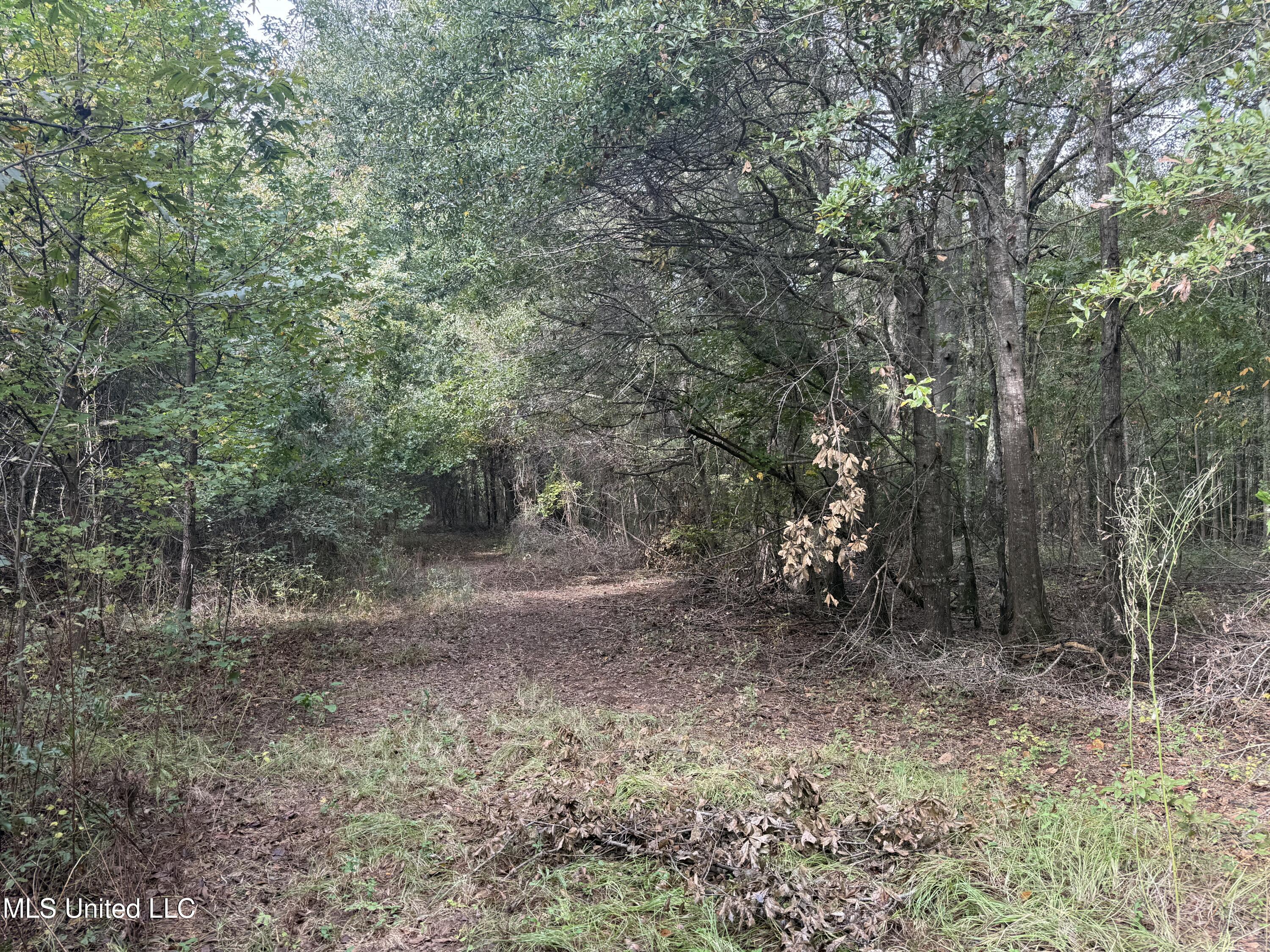 Mitchell Road Greenwood, MS 38930 - Photo 26 of 41 IMG_1103