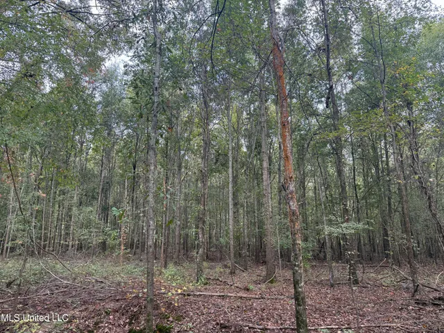 $105,000 | Mitchell Road, Greenwood, MS 38930