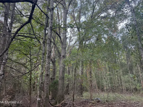 $90,000 | Mitchell Road, Greenwood, MS 38930