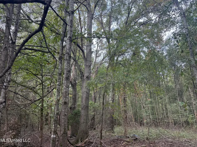 $105,000 | Mitchell Road, Greenwood, MS 38930