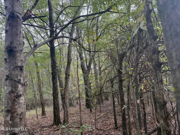 $90,000 | Mitchell Road, Greenwood, MS 38930