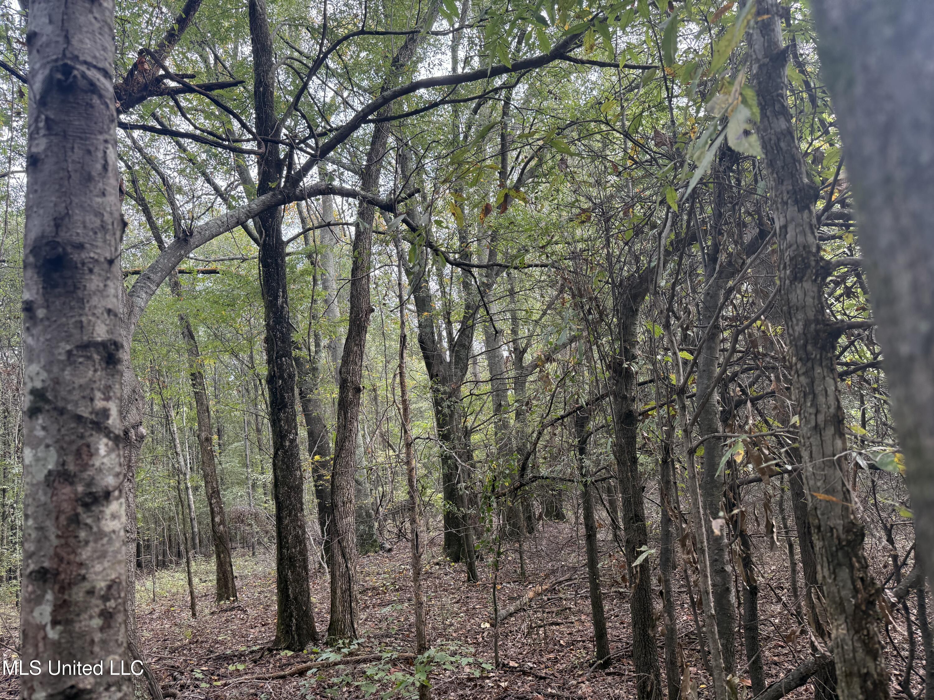 Mitchell Road Greenwood, MS 38930 - Photo 29 of 41 IMG_1106