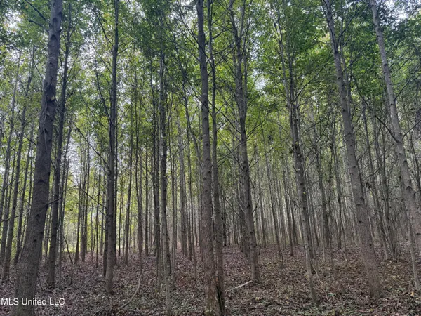 $90,000 | Mitchell Road, Greenwood, MS 38930