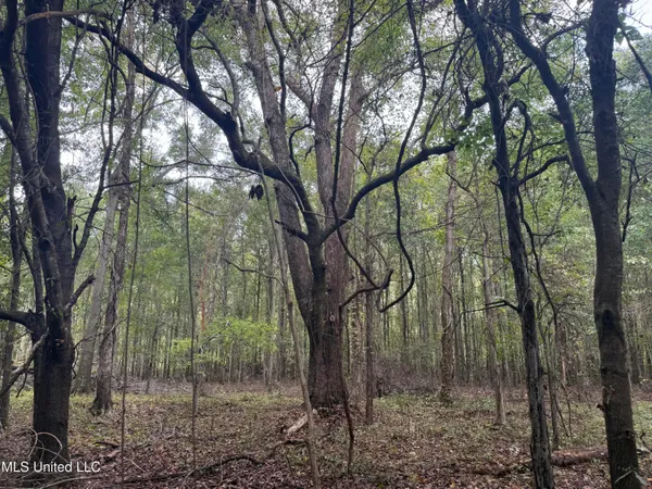 $90,000 | Mitchell Road, Greenwood, MS 38930