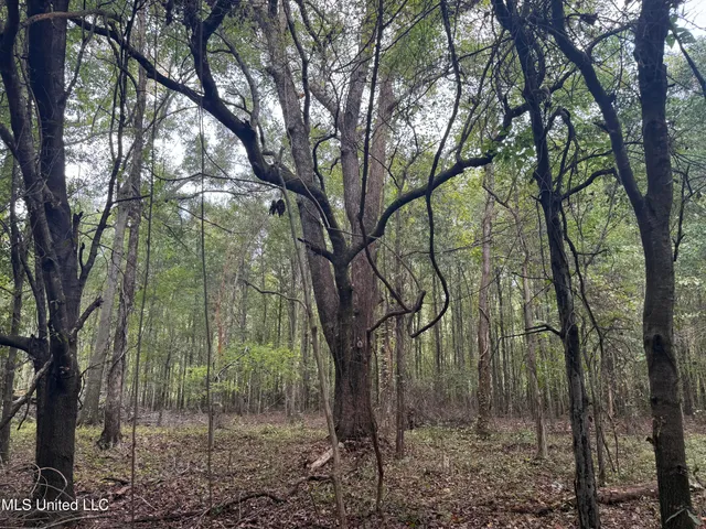 $105,000 | Mitchell Road, Greenwood, MS 38930