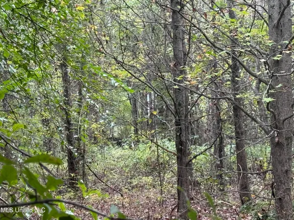 $90,000 | Mitchell Road, Greenwood, MS 38930