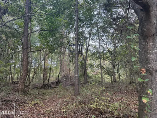 $90,000 | Mitchell Road, Greenwood, MS 38930