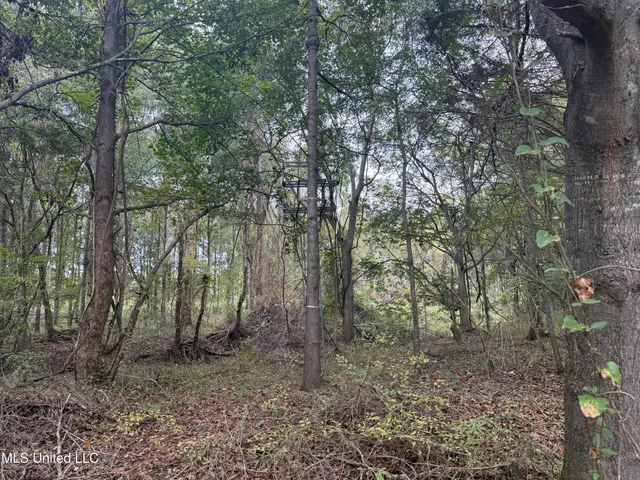 $105,000 | Mitchell Road, Greenwood, MS 38930