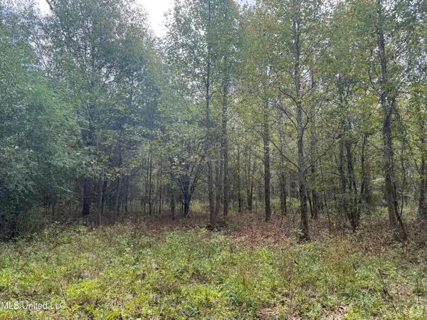 $90,000 | Mitchell Road, Greenwood, MS 38930