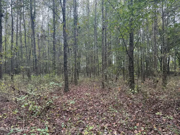 $90,000 | Mitchell Road, Greenwood, MS 38930