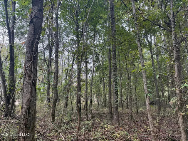 $105,000 | Mitchell Road, Greenwood, MS 38930