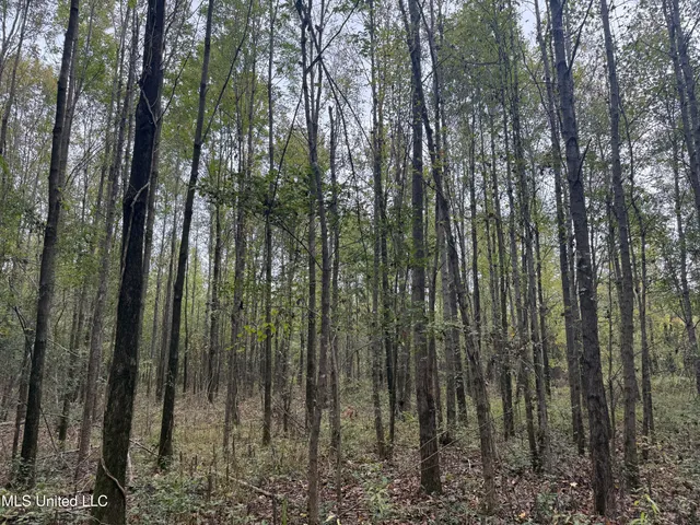 $105,000 | Mitchell Road, Greenwood, MS 38930