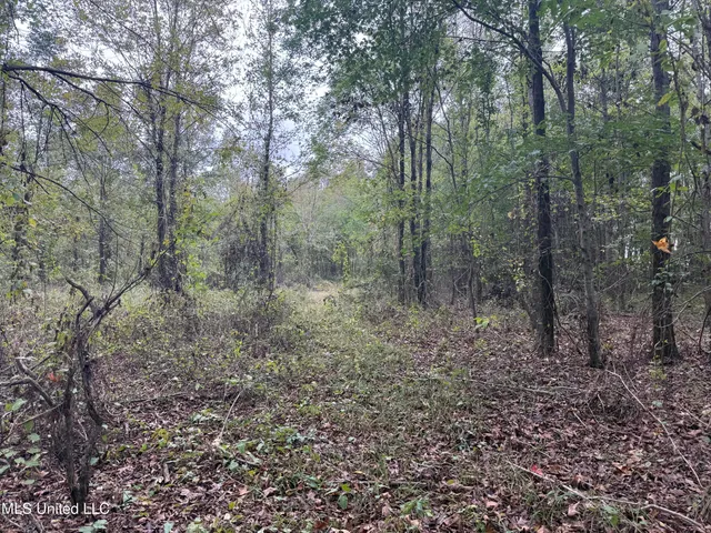 $105,000 | Mitchell Road, Greenwood, MS 38930