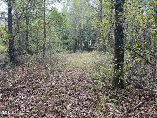 $105,000 | Mitchell Road, Greenwood, MS 38930