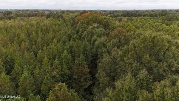 $90,000 | Mitchell Road, Greenwood, MS 38930