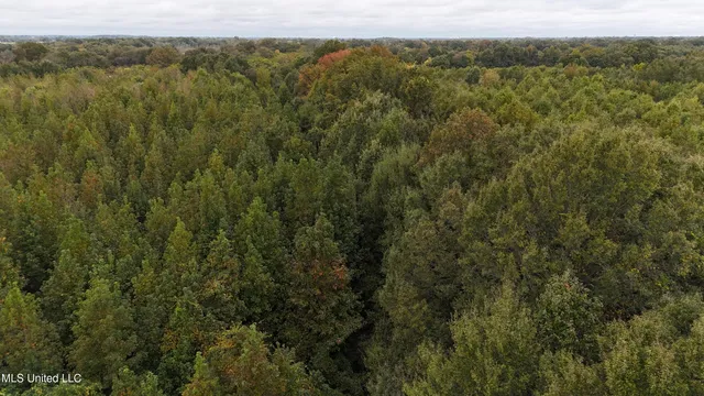 $105,000 | Mitchell Road, Greenwood, MS 38930