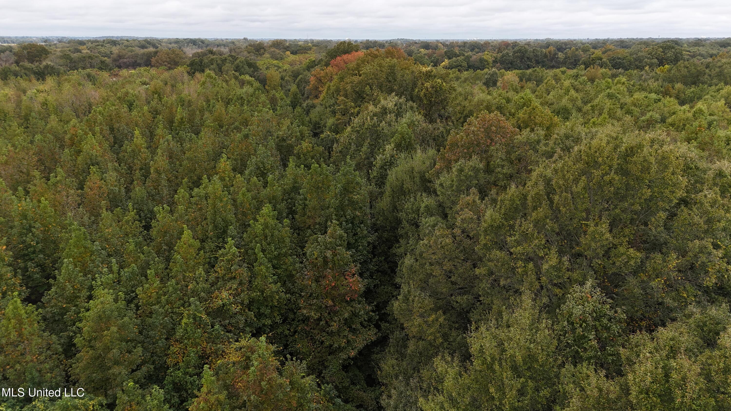 Mitchell Road Greenwood, MS 38930 - Photo 4 of 41 dji_fly_20251028_111938_0140_17617831688