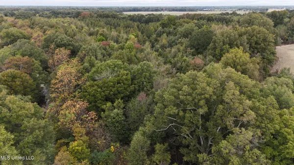 $90,000 | Mitchell Road, Greenwood, MS 38930