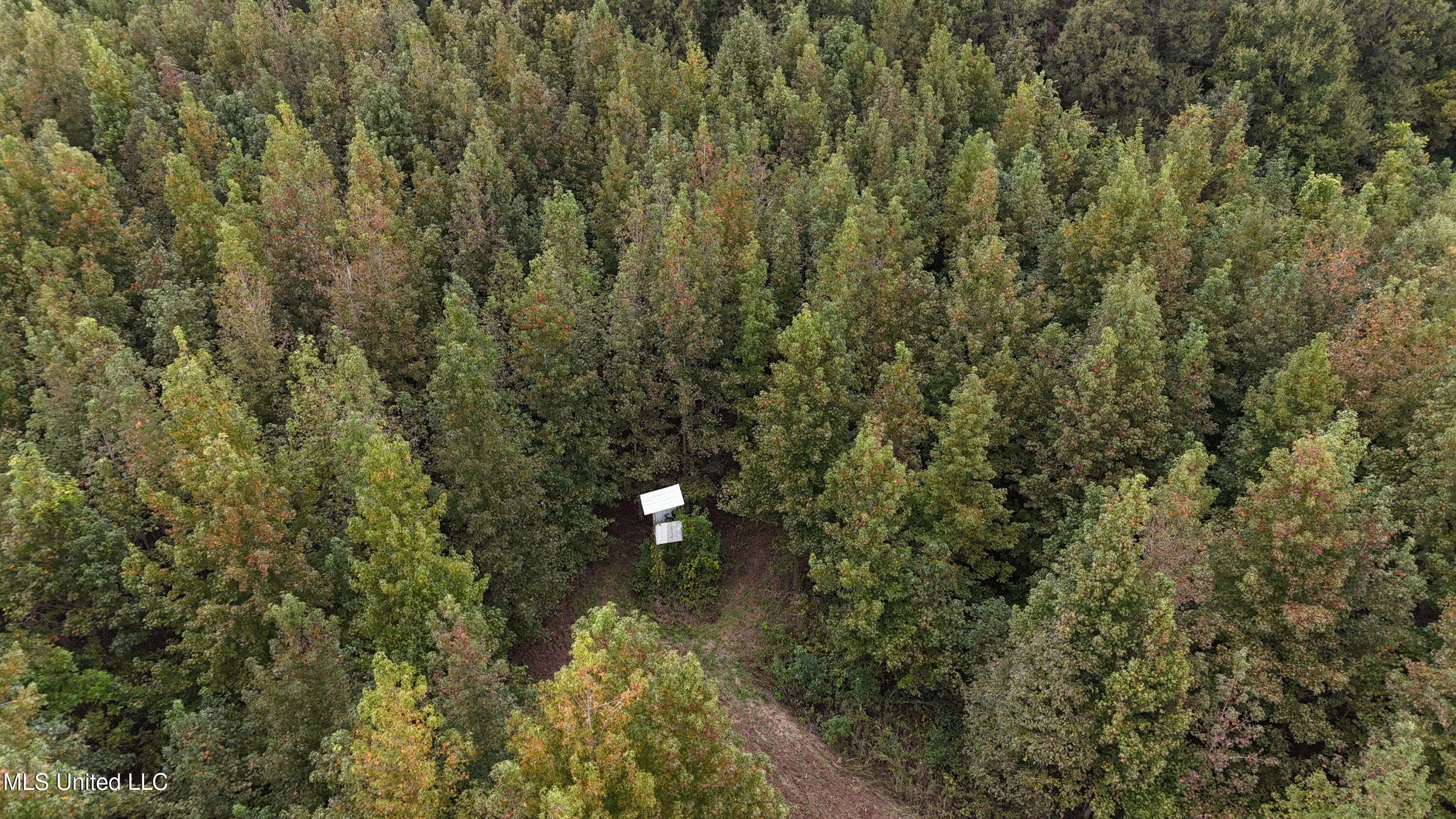 Mitchell Road Greenwood, MS 38930 - Photo 8 of 41 dji_fly_20251028_112006_0142_17617831695