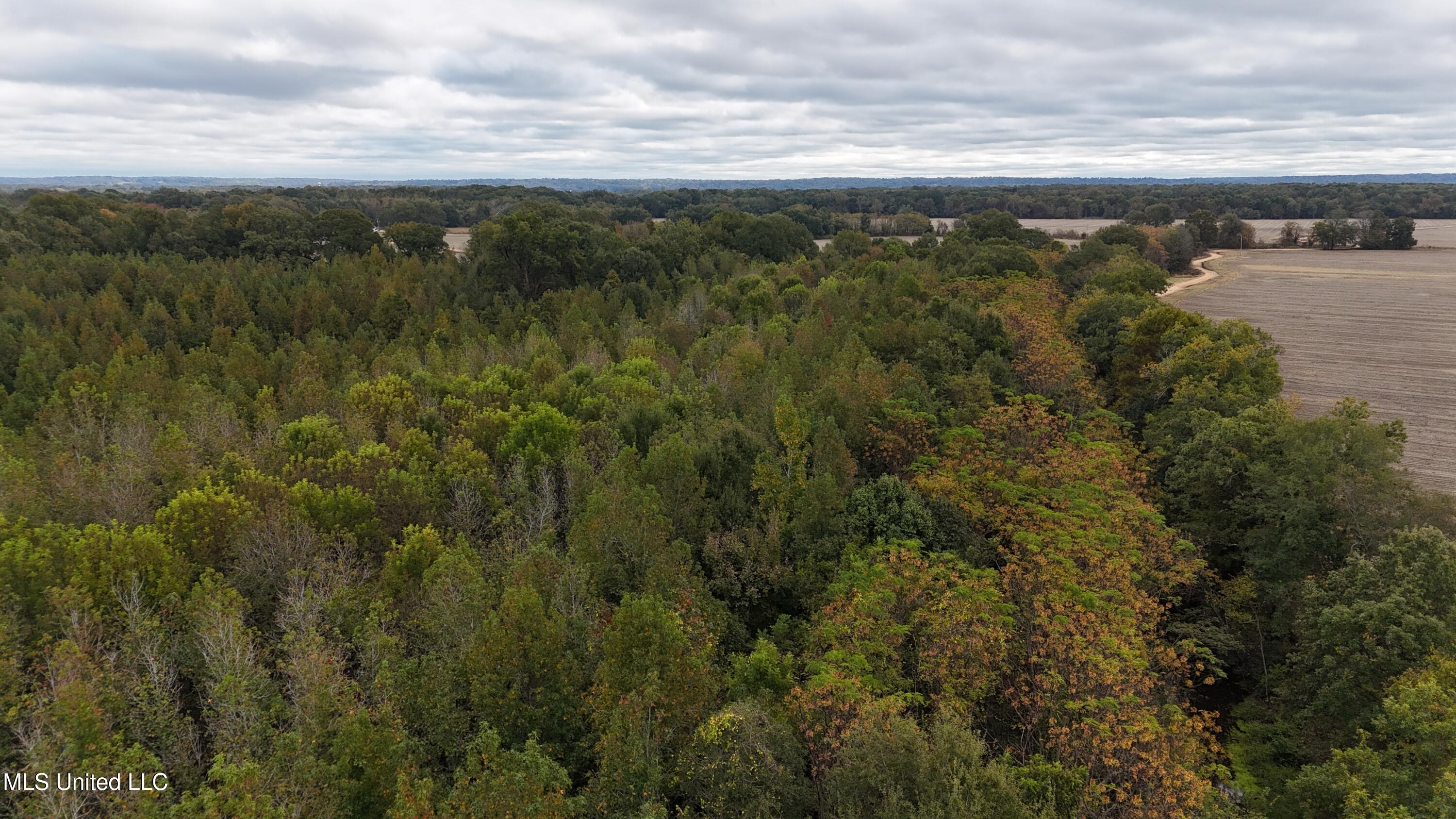 Mitchell Road Greenwood, MS 38930 - Photo 9 of 41 dji_fly_20251028_112030_0143_17617831698