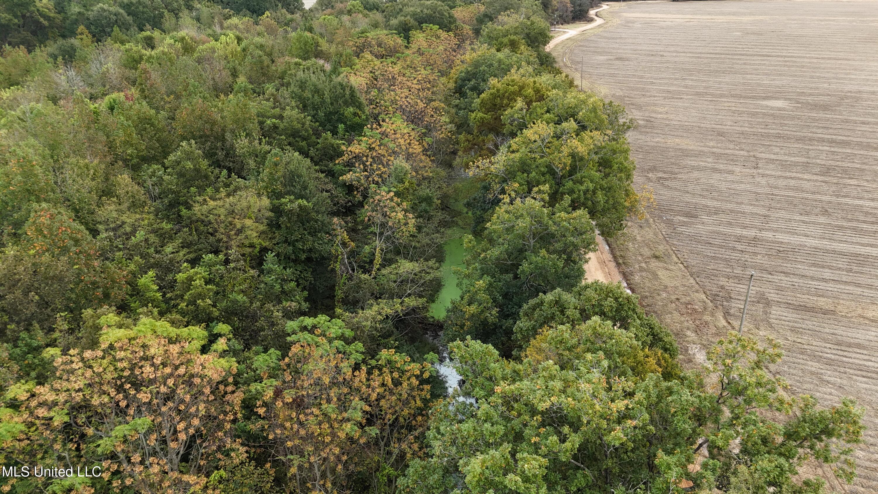 Mitchell Road Greenwood, MS 38930 - Photo 10 of 41 dji_fly_20251028_112058_0144_17617831702