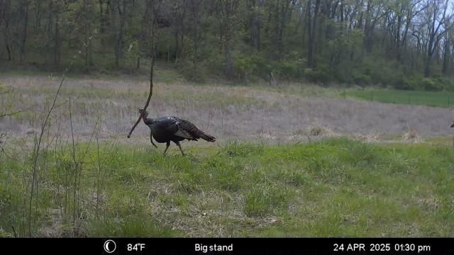 Northwest Waller Road Richmond, MO 64085 - Photo 63 of 80