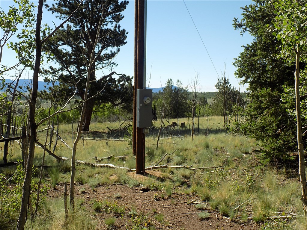 1104 Buffalo Ridge Road Como, CO 80432 - Photo 29 of 30 Gallery Image 29
