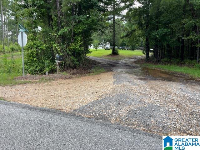 2829 Leander Road Daviston, AL 36256 - Photo 17 of 20