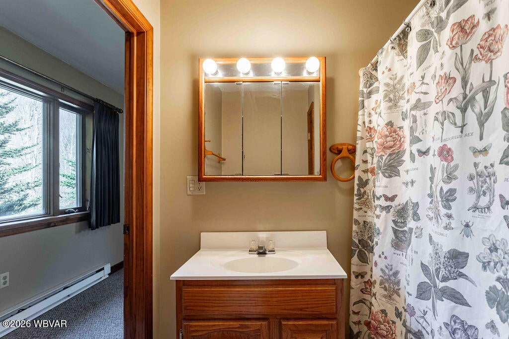 24 Jackson Center Road Millerton, PA 16936 - Photo 17 of 67 CD6A6541-HDR