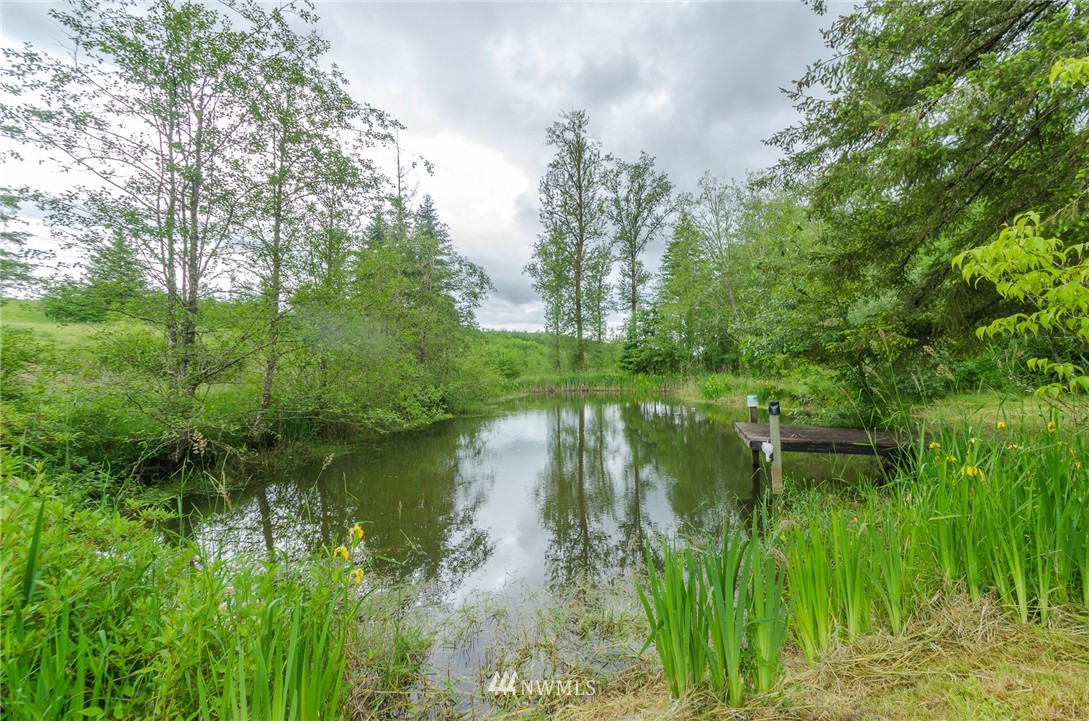 337 Kruger Road Onalaska, WA 98570 - Photo 21 of 24 Gallery Image 21