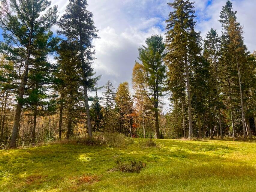 1594 Rangeley Road Phillips, ME 04966 - Photo 19 of 24 Grassy Space