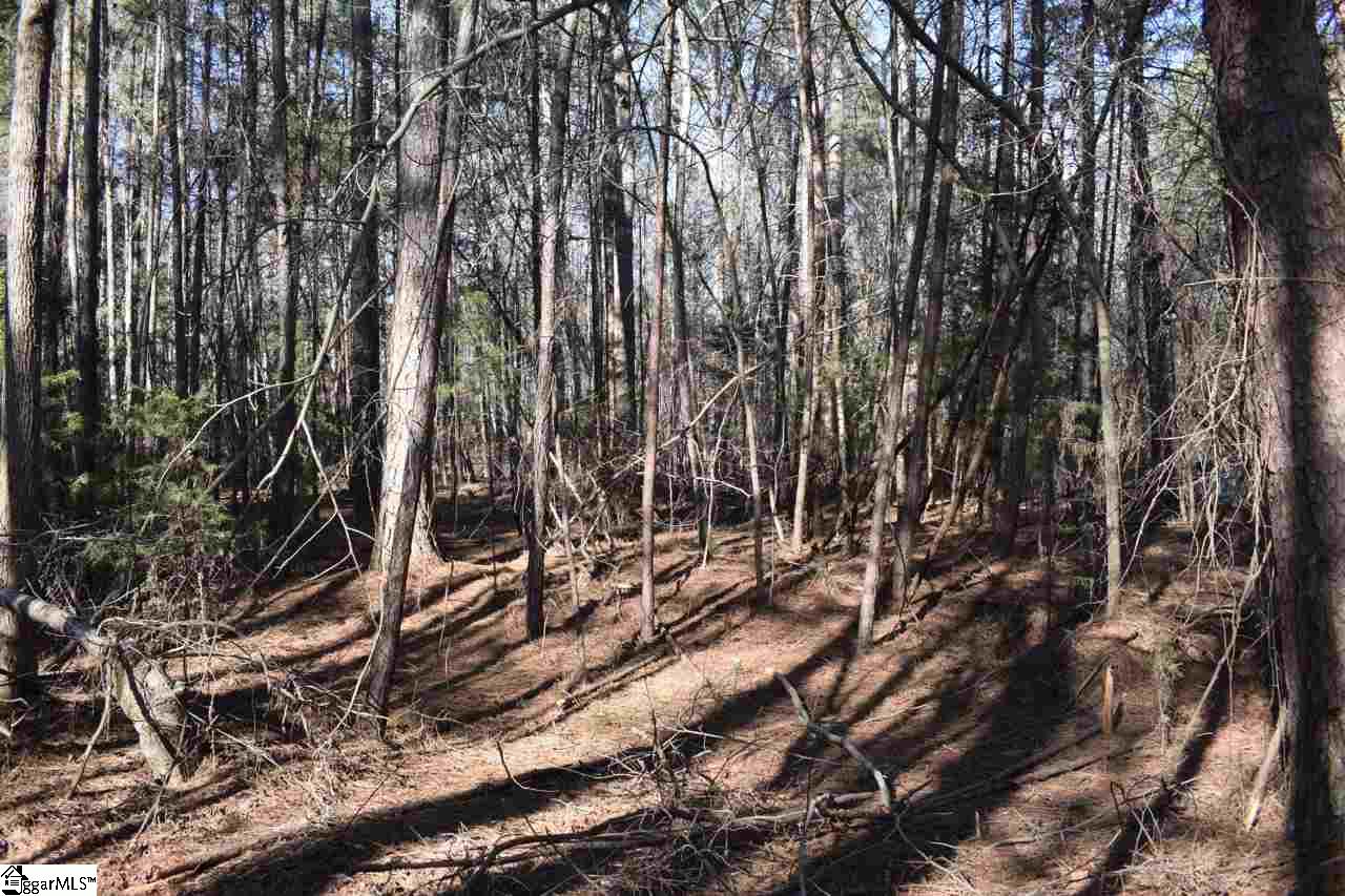 0 Country Estates Road Fountain Inn, SC 29644 - Photo 14 of 24