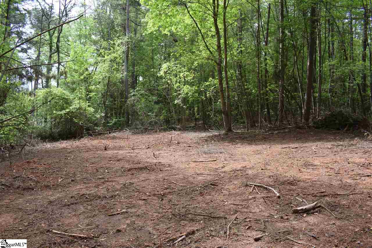 0 Country Estates Road Fountain Inn, SC 29644 - Photo 3 of 24