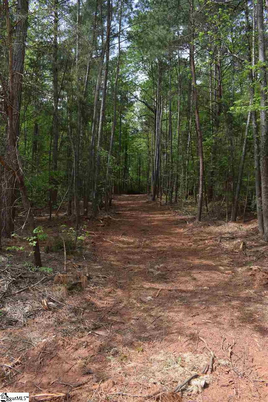 0 Country Estates Road Fountain Inn, SC 29644 - Photo 22 of 24