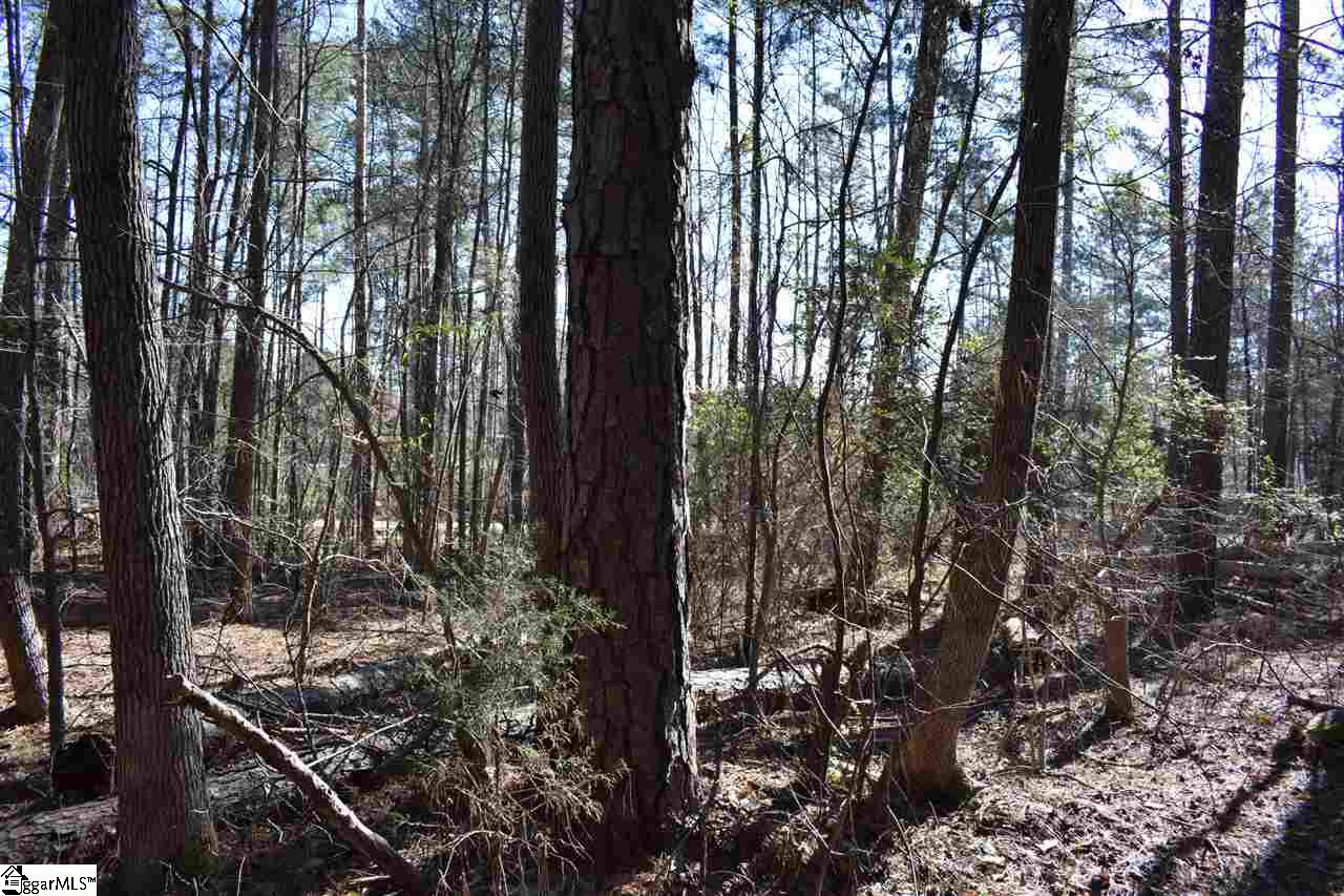 0 Country Estates Road Fountain Inn, SC 29644 - Photo 8 of 24
