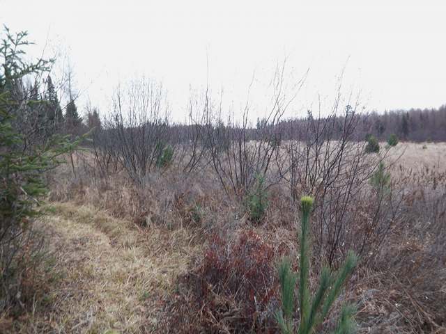 On Channel Road, Unit LOT 2 Eagle River, WI 54521 - Photo 11 of 14 Gallery Image 11