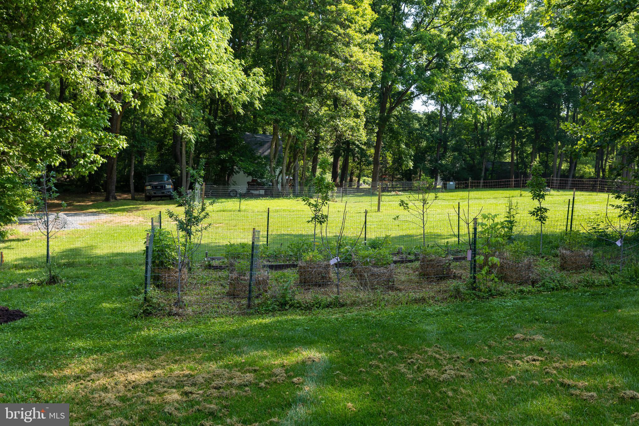 3020 Parshall Road Berryville, VA 22611 - Photo 47 of 58 Gallery Image 47