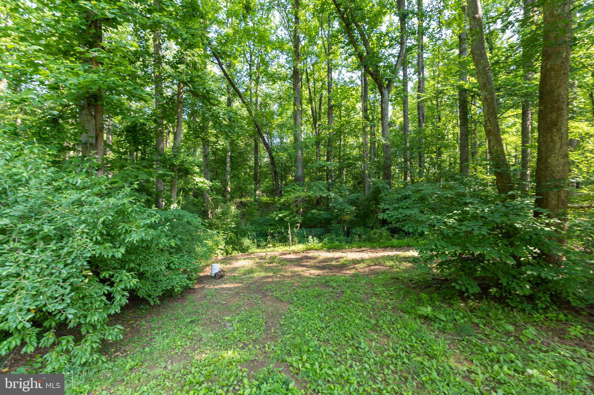 3020 Parshall Road Berryville, VA 22611 - Photo 48 of 58 Gallery Image 48