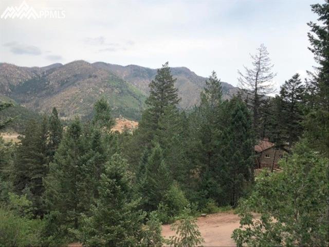 9315 Shoshone Road Cascade, CO 80809 - Photo 15 of 15